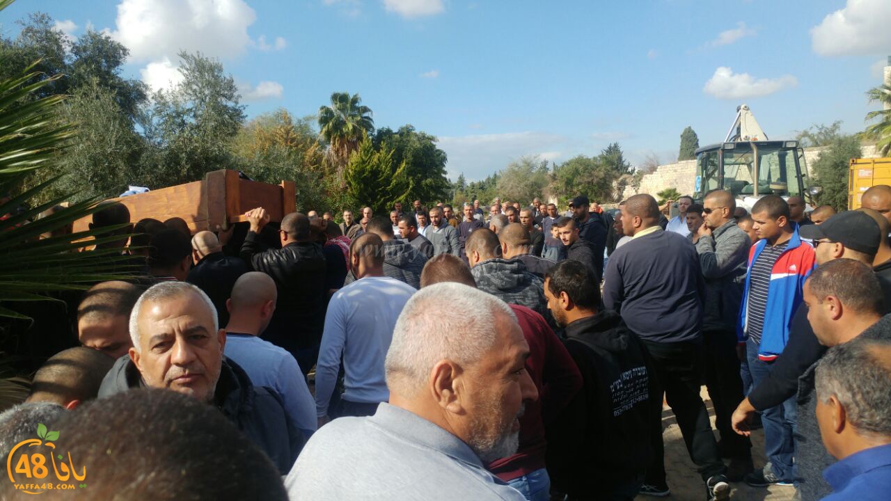 tashye3 abo kashef (8).jpg